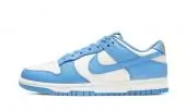 nike dunk low retro pas cher sail coast-dd1503-100 blue